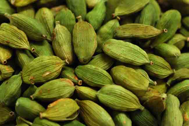 इलायची